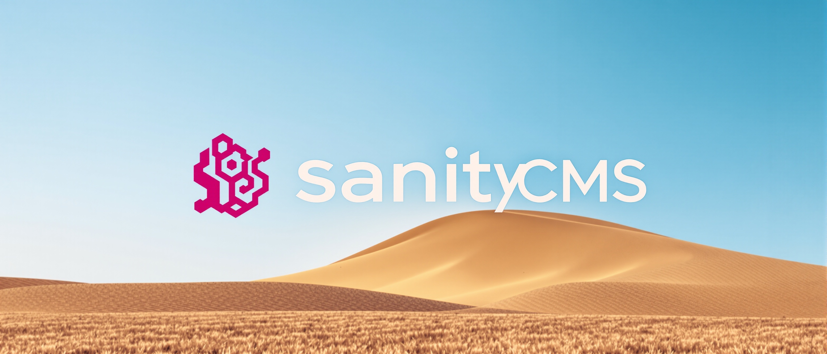 Sanity logo